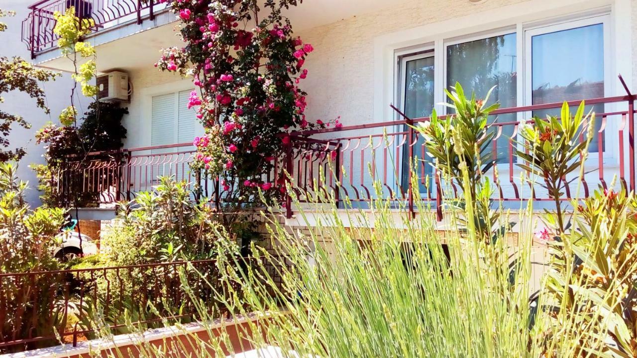 Apartmani Komunela Umag Exterior photo